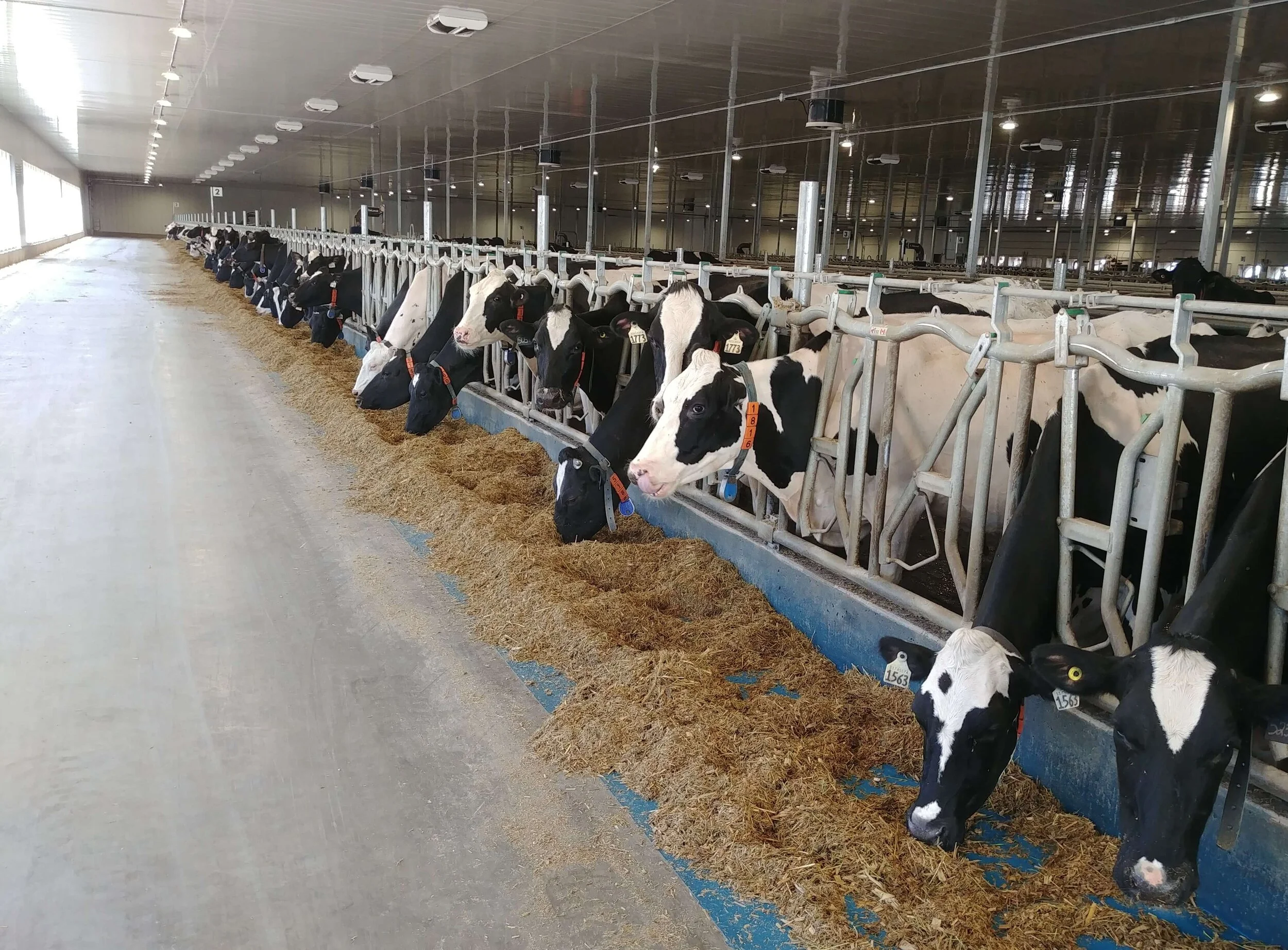 Grain and commodities brokered by Willow Mills